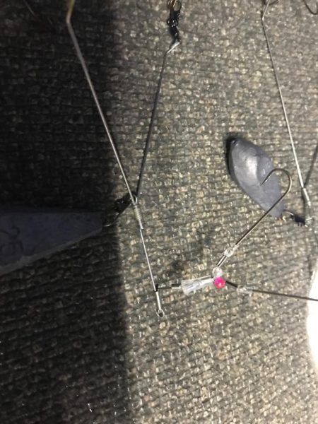 室津のカットウ釣り