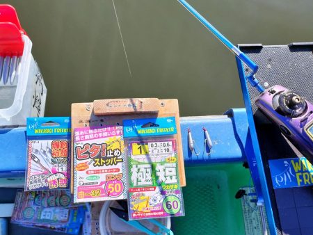 愛知県入鹿池ボート ワカサギ釣り！