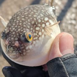 ハプニングあるも