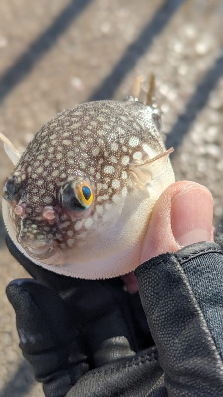 ハプニングあるも