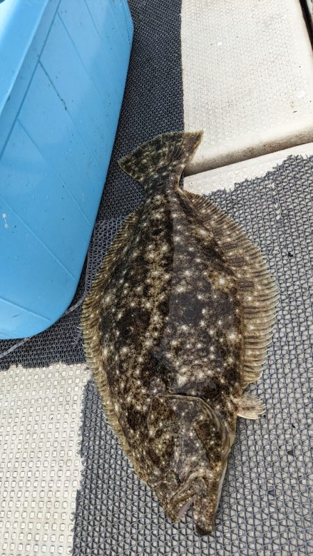 オフショアは楽しい