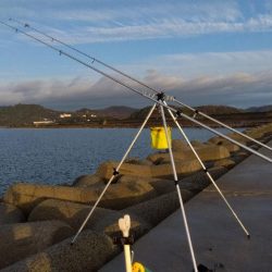 苅屋海岸の投げ釣り