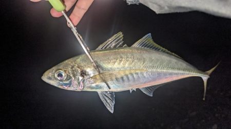 フロートアジングでギガアジ