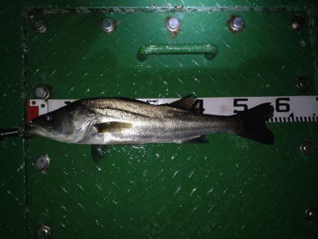 久しぶりの70オーバー