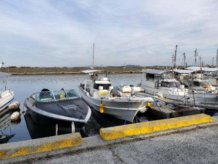 サンバソウ狙い