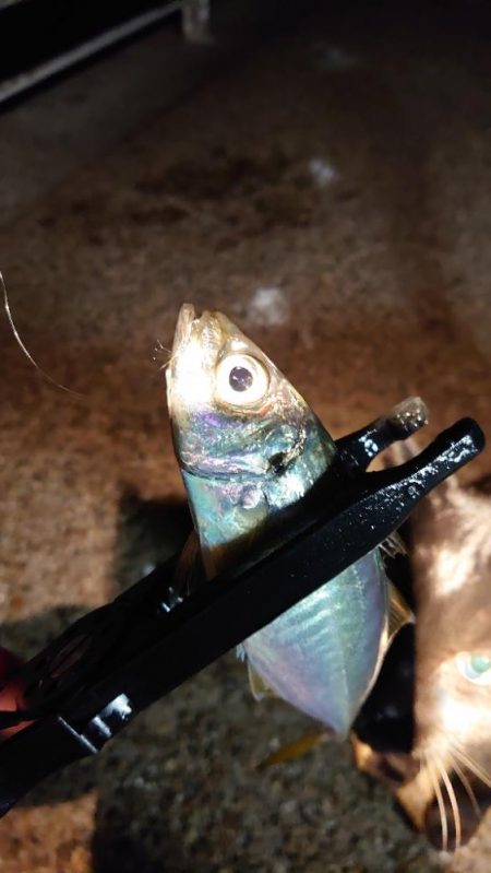 不完全燃焼！？