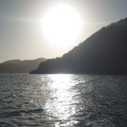 今年最後のボート釣り