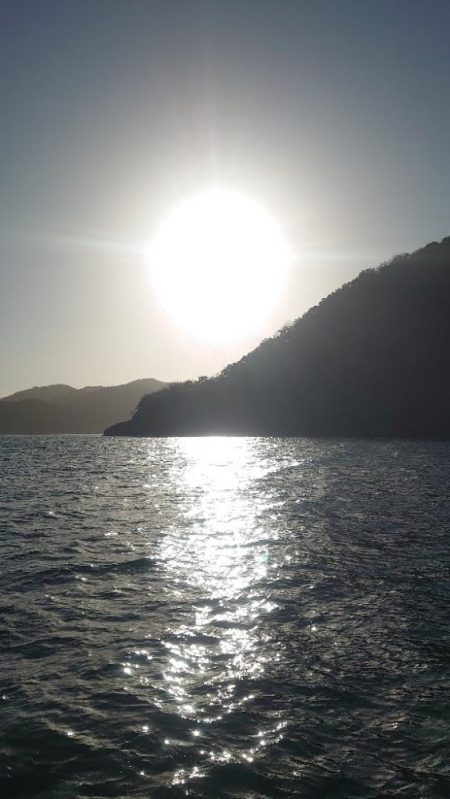 今年最後のボート釣り