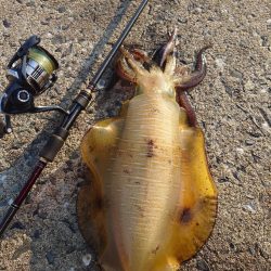 キロアップIN対馬