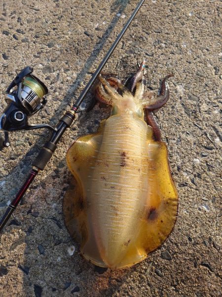 キロアップIN対馬