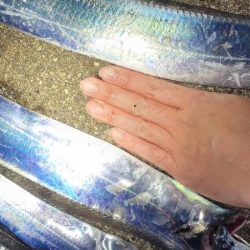 ついに待望のサイズアップ