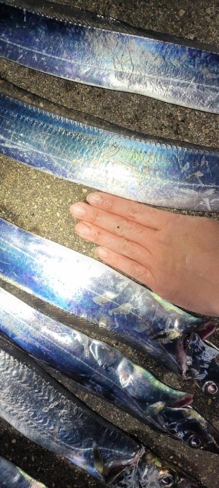 ついに待望のサイズアップ