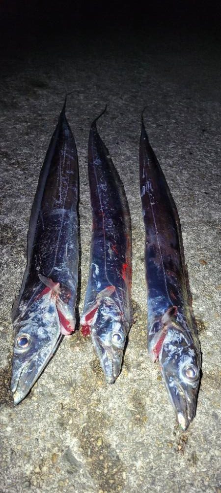 寒波前の釣り収め