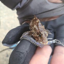 カゴサビキ師の隣にて🙆