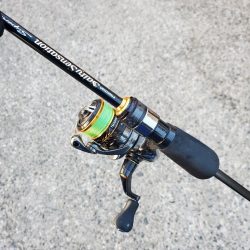 アジング　外道がたくさん