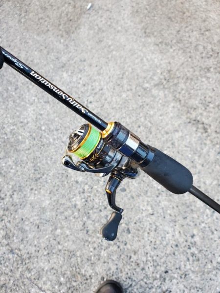 アジング　外道がたくさん