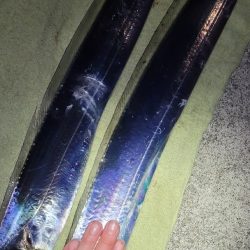 来たらデカい!というやつ