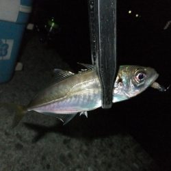 なんとかツ抜け