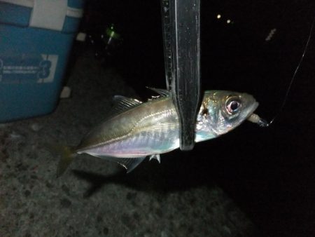 なんとかツ抜け