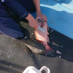 船上お祭り騒ぎ