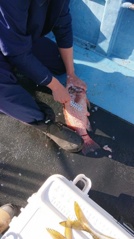 船上お祭り騒ぎ