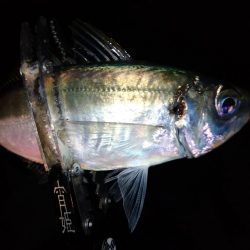 3日続けてあそこへ