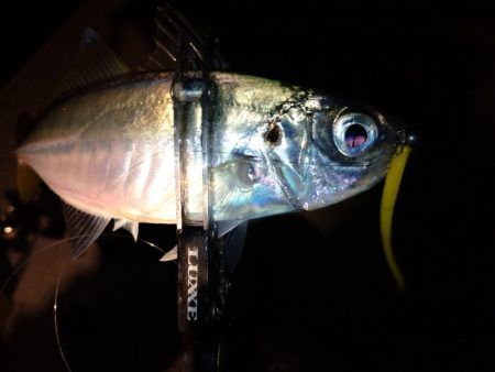 今夜はパターン掴んでボコボコ