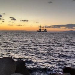 水軒　カゴ釣り