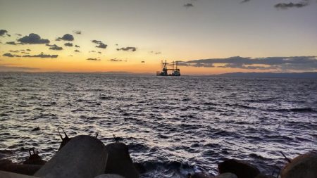 水軒　カゴ釣り