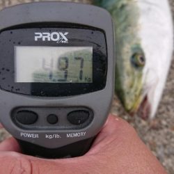 2023播磨詣第3回