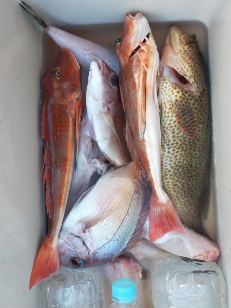 近海ぶっ飛び〜