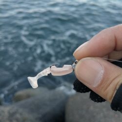 お祭り終わるも思わぬ大物が!