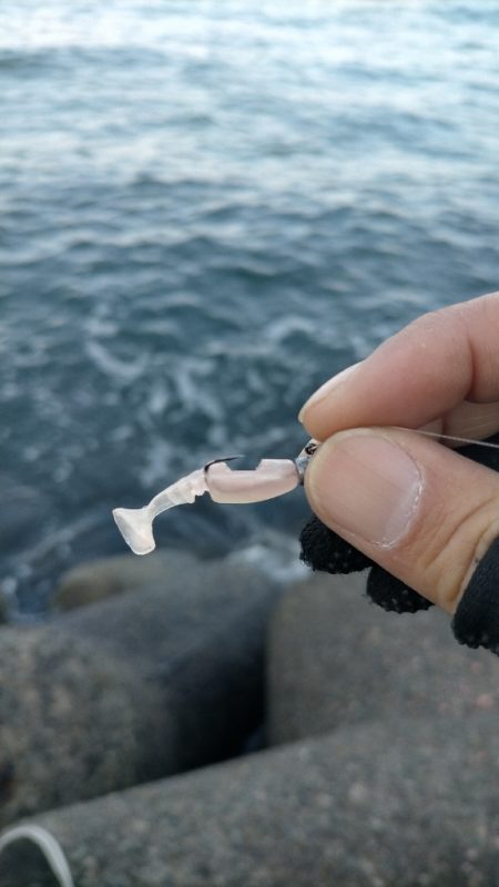 お祭り終わるも思わぬ大物が!