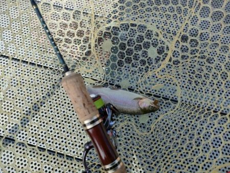 激渋の原因はターンオーバー？