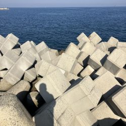 たかたかの釣り日記