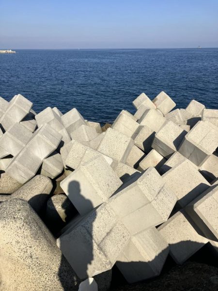 たかたかの釣り日記