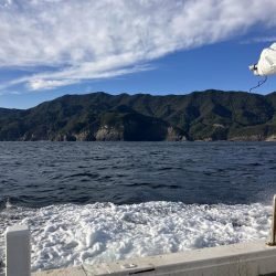 たかたかの釣り日記