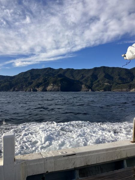 たかたかの釣り日記