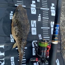 久々のチヌ45センチオーバー