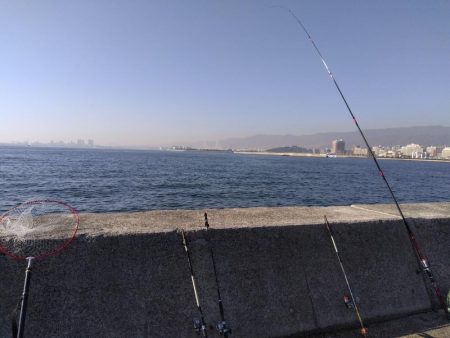 ブリーはいました。