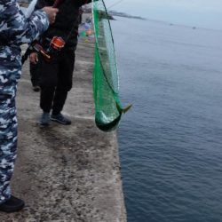 近場のキスが厳しくなりました