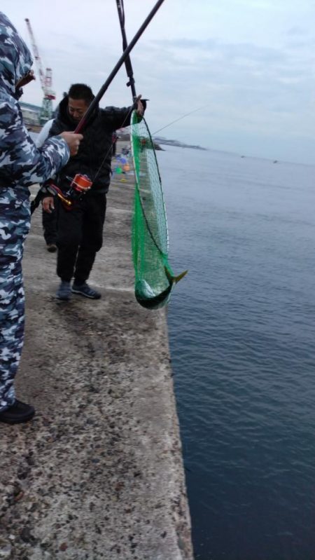 近場のキスが厳しくなりました