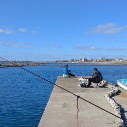 魚住漁港のキス調査