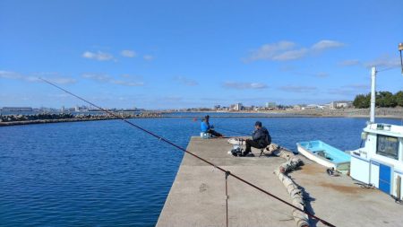 魚住漁港のキス調査