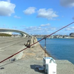 ハゼ釣りになりました