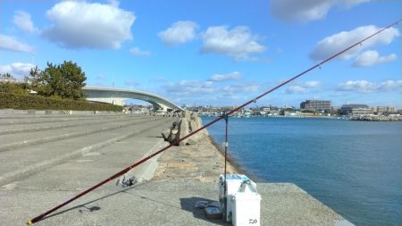 ハゼ釣りになりました