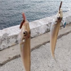 淡路島ランガン釣行