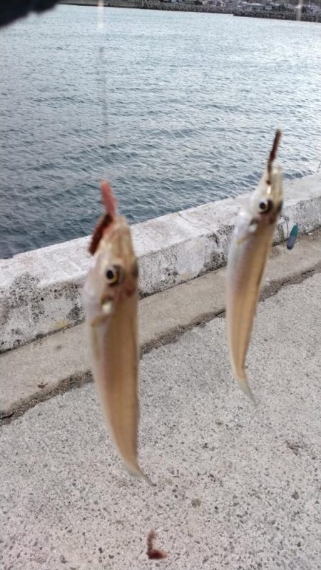 淡路島ランガン釣行