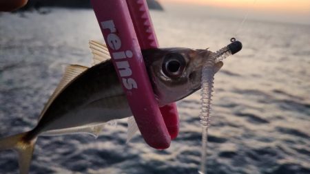 スーパーゼンゴ