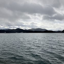 千歳サゴシポツポツ